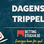 dagens bet